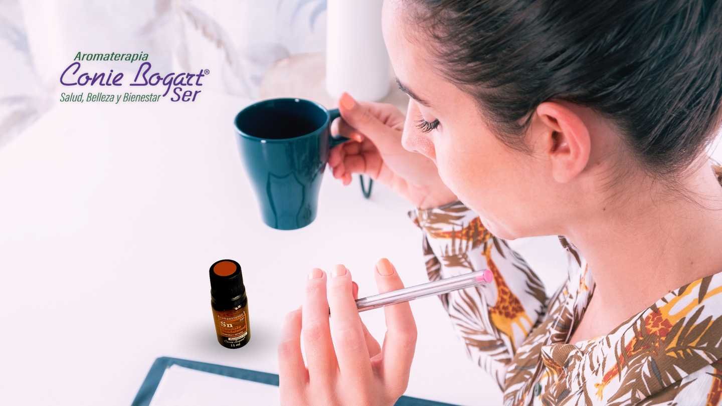 Negocio Conie Bogart