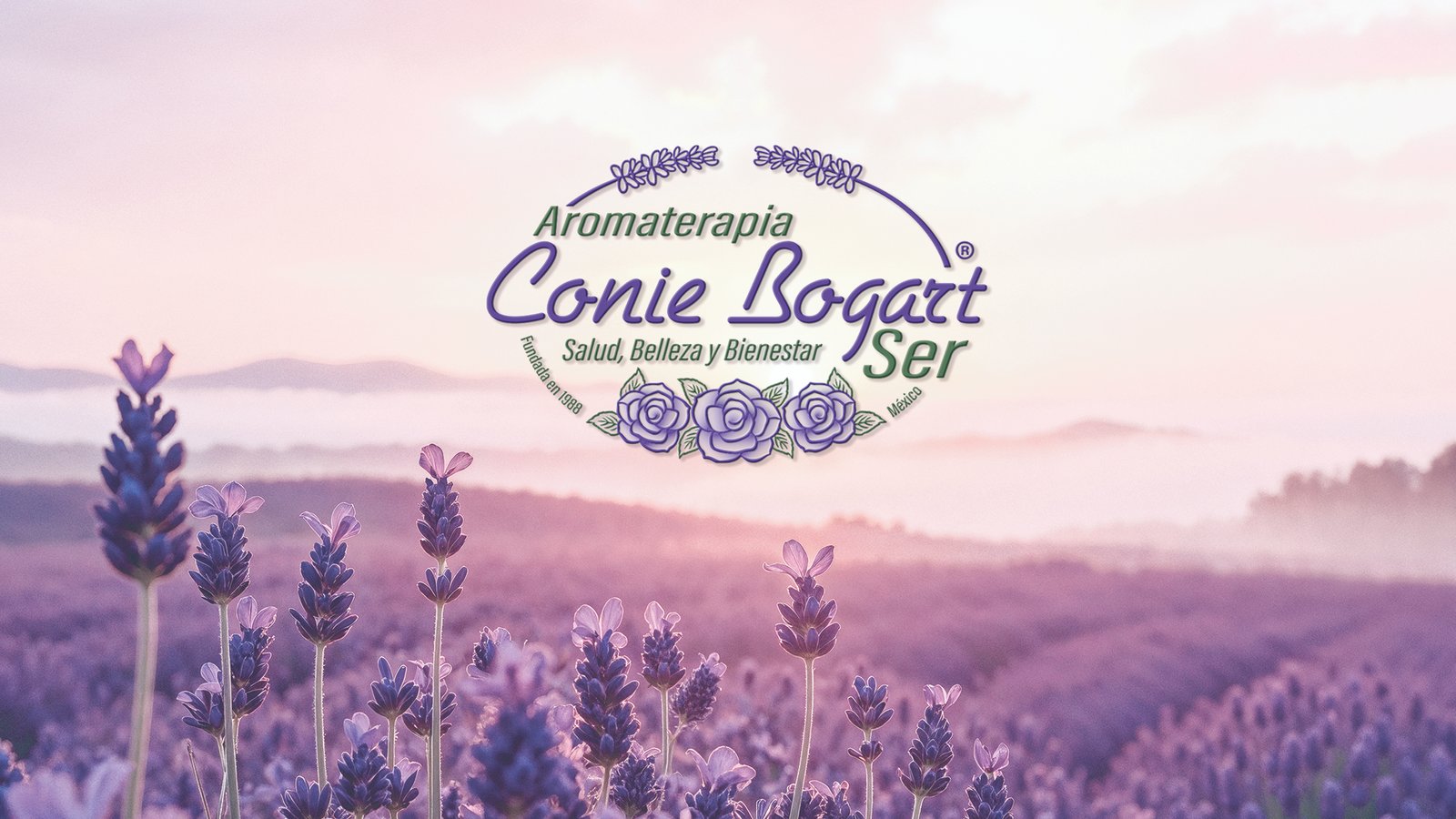Conie Bogart Desktop