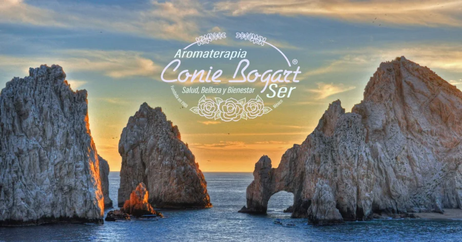 Viaje Estelar 2026 — Krystal Grand Los Cabos